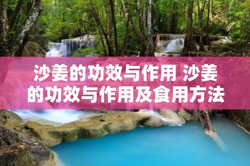 沙姜的功效与作用 沙姜的功效与作用及食用方法