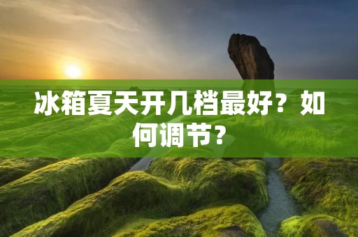 冰箱夏天开几档最好？如何调节？