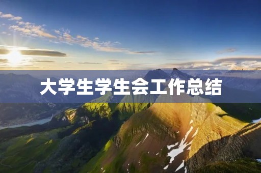 大学生学生会工作总结