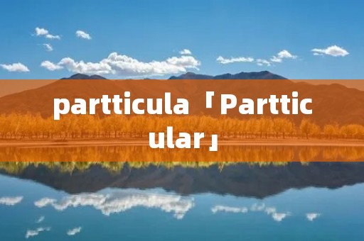 partticula「Partticular」
