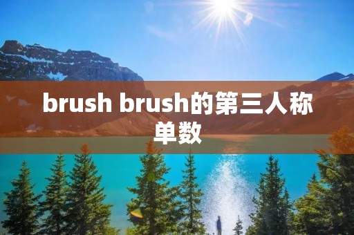 brush brush的第三人称单数
