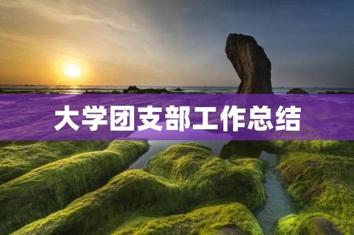 大学团支部工作总结:发挥组织优势,服务青年成长