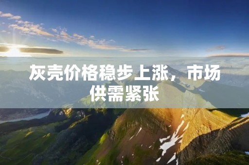 灰壳价格稳步上涨,市场供需紧张 灰壳价格稳步上涨,市场供需紧张