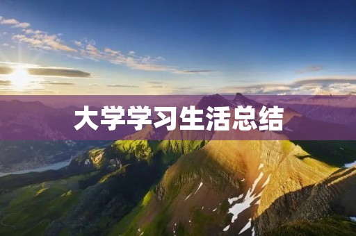 大学学习生活总结