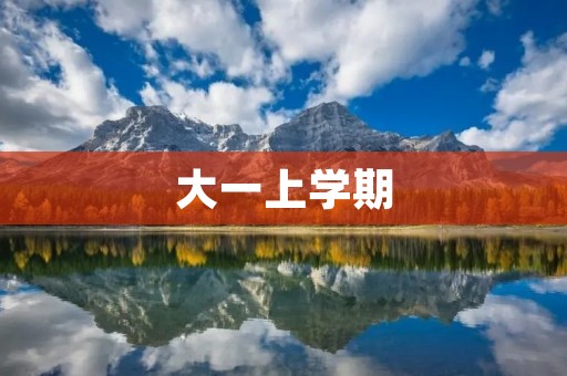 大一上学期:追梦之路的起点