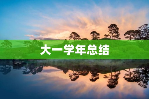 大一学年总结:一次难以忘怀的成长之旅