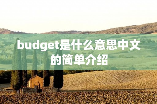 budget是什么意思中文的简单介绍 budget是什么意思中文的简单介绍