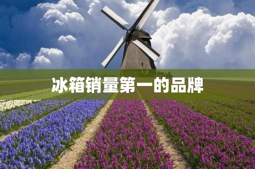 冰箱销量第一的品牌：海尔