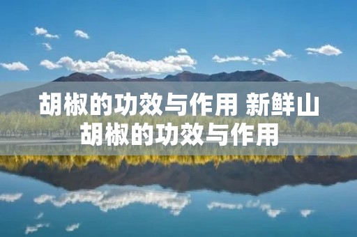 胡椒的功效与作用 新鲜山胡椒的功效与作用 胡椒的功效与作用 新鲜山胡椒的功效与作用