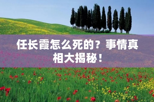 任长霞怎么死的？事情真相大揭秘！