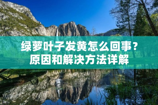 绿萝叶子发黄怎么回事？原因和解决方法详解