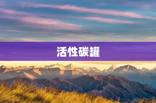 活性碳罐：净化空气的好帮手