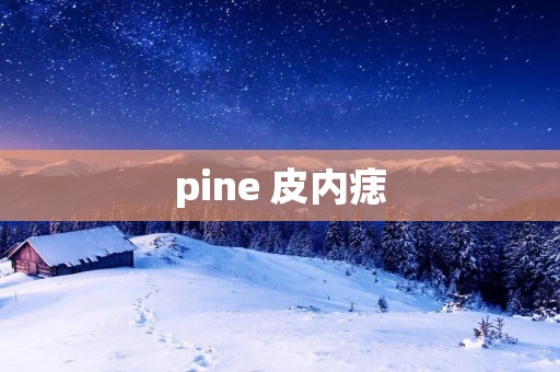 pine 皮内痣