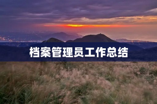 档案管理员工作总结