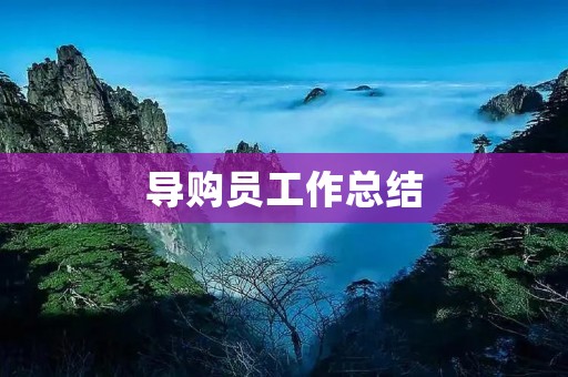 导购员工作总结：从服务到销售，从专业到亲和