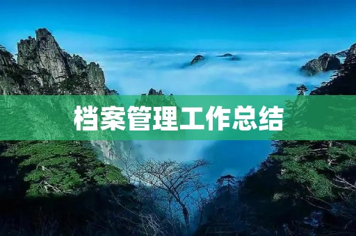 档案管理工作总结:实践与思考