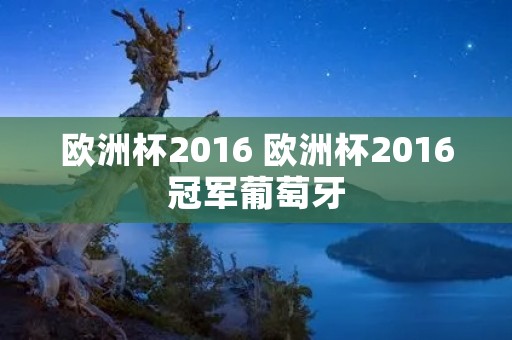 欧洲杯2016 欧洲杯2016冠军葡萄牙