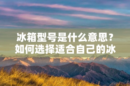 冰箱型号是什么意思？如何选择适合自己的冰箱型号？