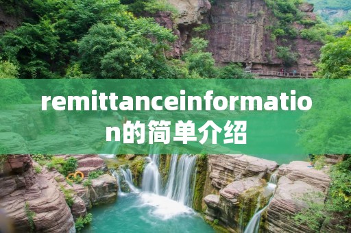 remittanceinformation的简单介绍 remittanceinformation的简单介绍