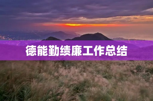 德能勤绩廉工作总结