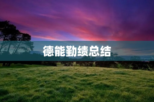 德能勤绩总结：一年来的成长与收获