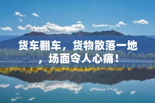 货车翻车,货物散落一地,场面令人心痛! 货车翻车,货物散落一地,场面令人心痛!
