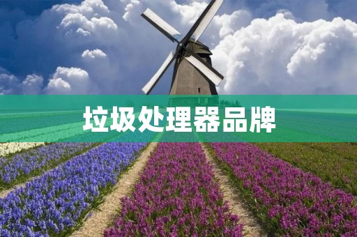 垃圾处理器品牌：如何选择适合的处理器？