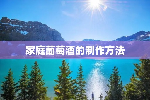 家庭葡萄酒的制作方法
