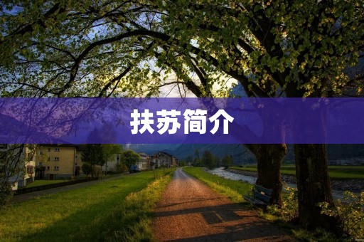 扶苏简介：一位伟大的国家缔造者