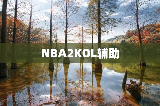 NBA2KOL辅助：让你成为游戏中的巨星