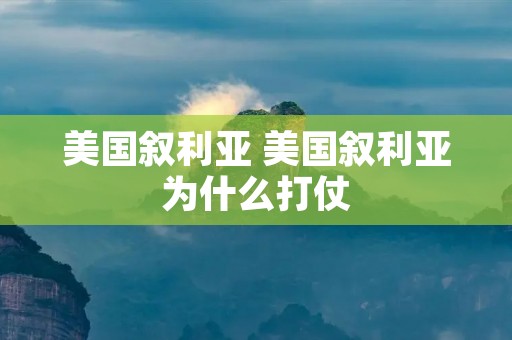 美国叙利亚 美国叙利亚为什么打仗