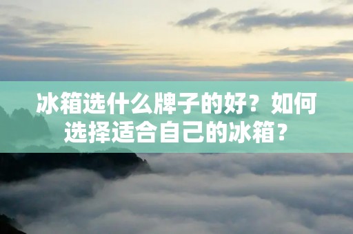 冰箱选什么牌子的好?如何选择适合自己的冰箱? 冰箱选什么牌子的好?如何选择适合自己的冰箱?