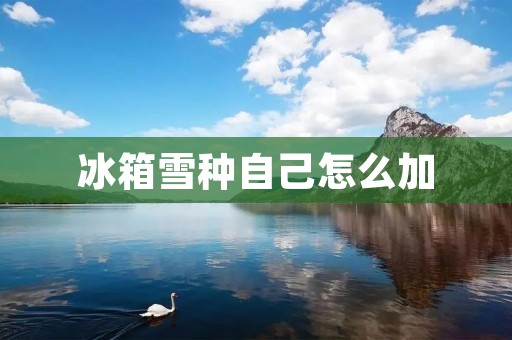冰箱雪种自己怎么加:详细步骤与注意事项 冰箱雪种自己怎么加:详细步骤与注意事项