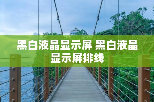 黑白液晶显示屏 黑白液晶显示屏排线 黑白液晶显示屏 黑白液晶显示屏排线