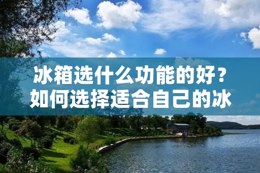 冰箱选什么功能的好?如何选择适合自己的冰箱? 冰箱选什么功能的好?如何选择适合自己的冰箱?