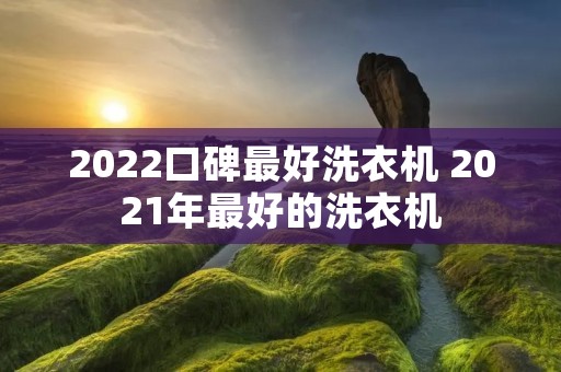 2022口碑最好洗衣机 2021年最好的洗衣机