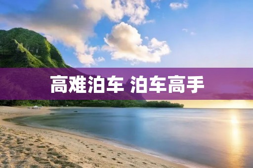 高难泊车 泊车高手