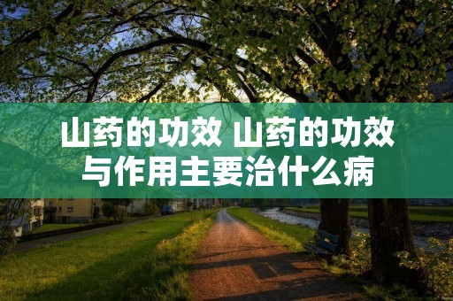 山药的功效 山药的功效与作用主要治什么病 山药的功效 山药的功效与作用主要治什么病