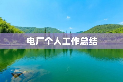 电厂个人工作总结