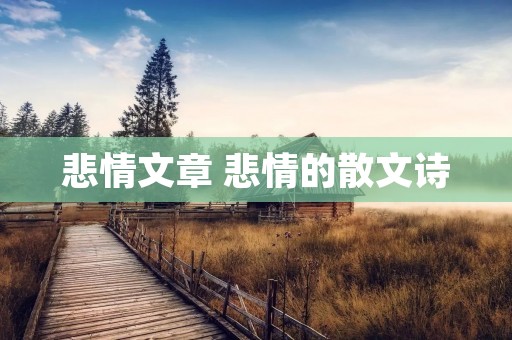 悲情文章 悲情的散文诗
