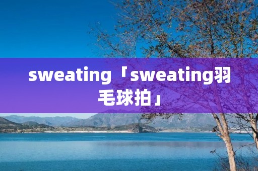 sweating「sweating羽毛球拍」