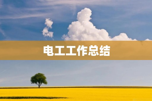 电工工作总结：从事电气设备维修与安装