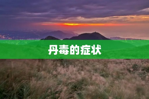 丹毒的症状:了解这种疾病的表现和治疗方法 丹毒的症状:了解这种疾病的表现和治疗方法