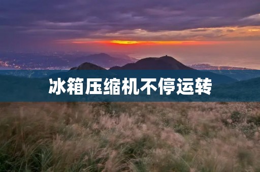 冰箱压缩机不停运转：原因及解决方法