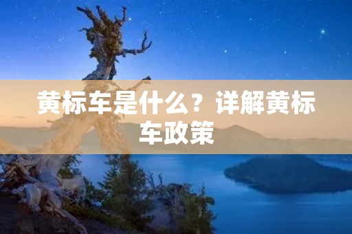 黄标车是什么？详解黄标车政策