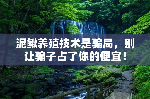 泥鳅养殖技术是骗局，别让骗子占了你的便宜！