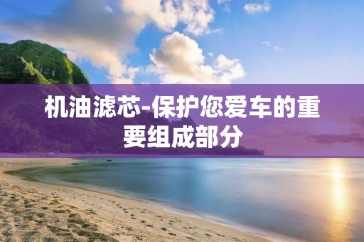机油滤芯-保护您爱车的重要组成部分 机油滤芯-保护您爱车的重要组成部分