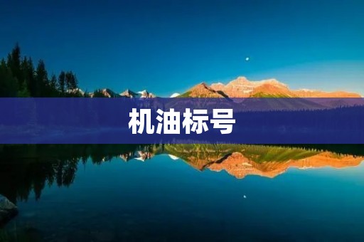 机油标号:如何选择适合你的机油? 机油标号:如何选择适合你的机油?