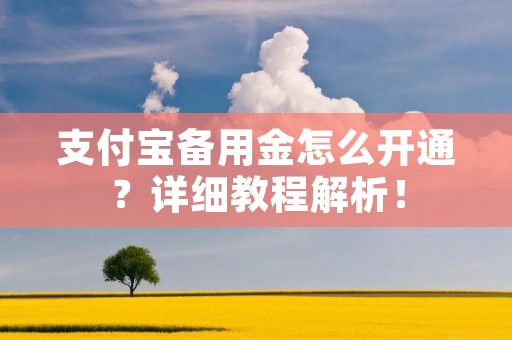 支付宝备用金怎么开通？详细教程解析！