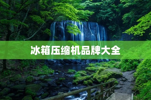 冰箱压缩机品牌大全：全面解析冰箱压缩机品牌及其优缺点